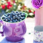 blueberries-clinicamartimaset