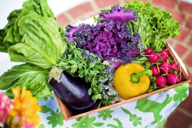 Oferim serveis de consulta de nutrició.